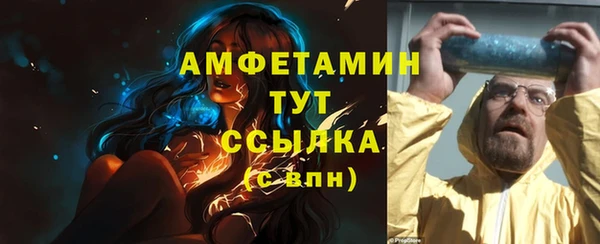 сатива Балахна