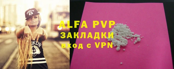 сатива Балахна