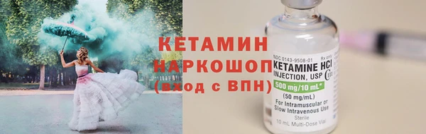 сатива Балахна