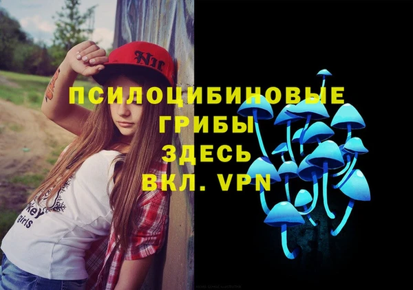 мяу мяу мука Армянск