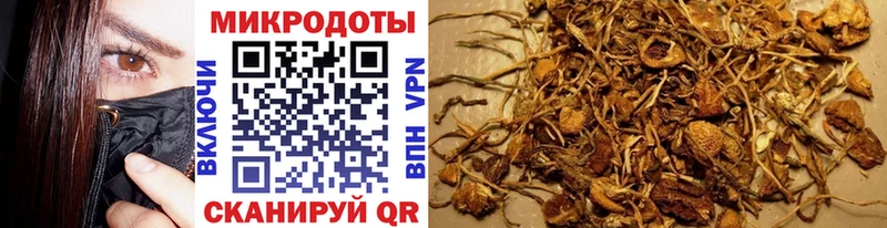 сколько стоит  Нязепетровск  Псилоцибиновые грибы Psilocybine cubensis 